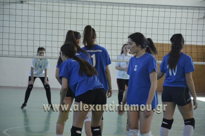 volley_1o-alexandreias-melikis2018 (49)